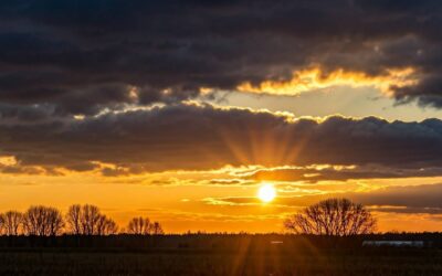 Depressionen bewältigen